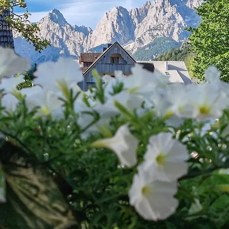 & Smucka Kranjska Gora