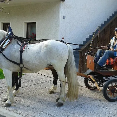 Apartment & Smucka Kranjska Gora