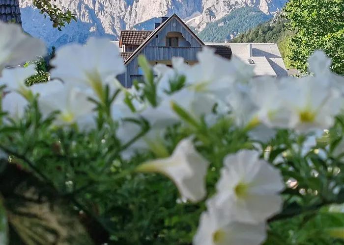 & Smucka Kranjska Gora