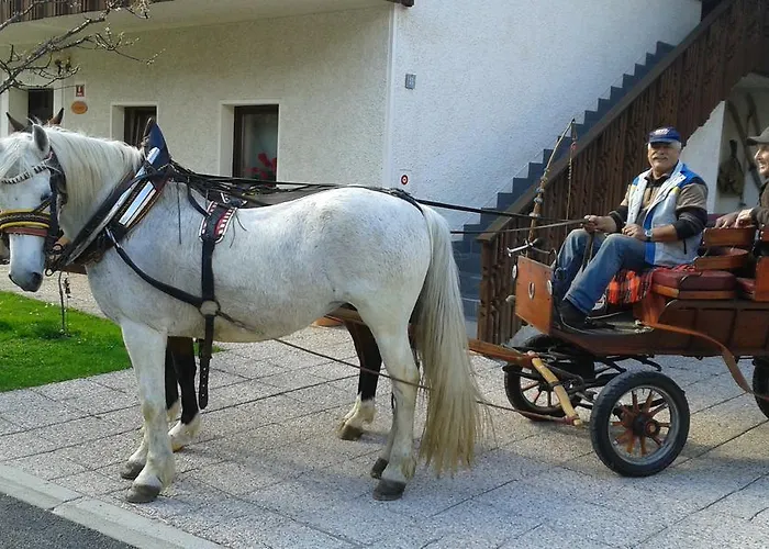 דירה & Smucka קרנייסקה גורה